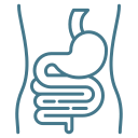 Praxis an der Havel - Innere Medizin, Diagnostik, Prävention und chronische Versorgung - Magen-Symbol